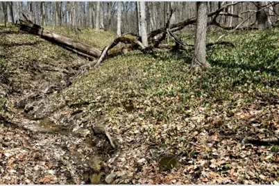 E 23rd Street, Ashtabula, OH 44004 - Photo 3