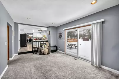 931 Daryl Drive, Loveland, OH 44124 - Photo 23