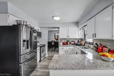 931 Daryl Drive, Loveland, OH 44124 - Photo 19