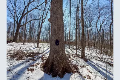 42335 Colburn Rd, , OH 45776 - Photo 21