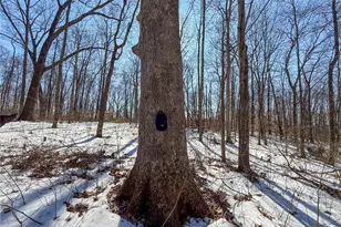 42335 Colburn Rd, , OH 45776 - Photo 21