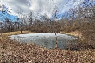 42335 Colburn Rd, , OH 45776 - Photo 15