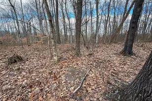 42335 Colburn Rd, , OH 45776 - Photo 37