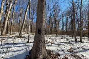 42335 Colburn Rd, , OH 45776 - Photo 19