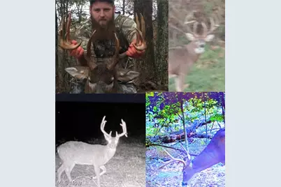 42335 Colburn Rd, , OH 45776 - Photo 25