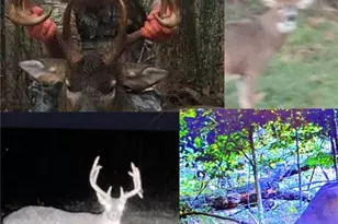 42335 Colburn Rd, , OH 45776 - Photo 25