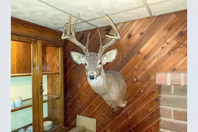 42335 Colburn Rd, , OH 45776 - Photo 11