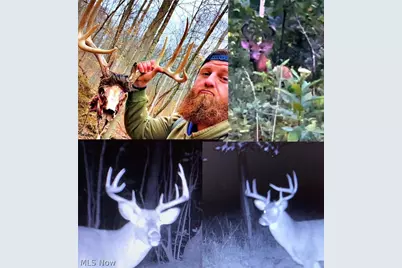 42335 Colburn Rd, , OH 45776 - Photo 23