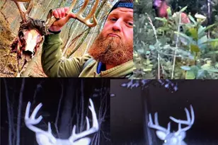 42335 Colburn Rd, , OH 45776 - Photo 23