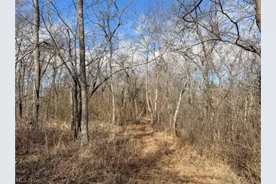 42335 Colburn Rd, , OH 45776 - Photo 47