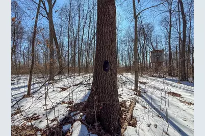 42335 Colburn Rd, , OH 45776 - Photo 17