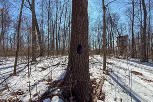 42335 Colburn Rd, , OH 45776 - Photo 17