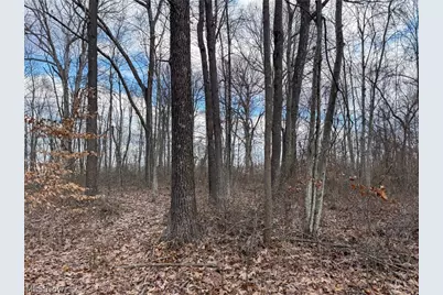 42335 Colburn Rd, , OH 45776 - Photo 39