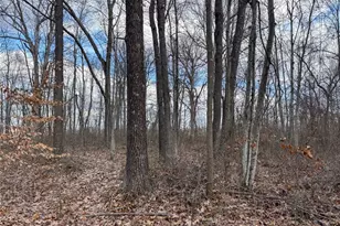 42335 Colburn Rd, , OH 45776 - Photo 39