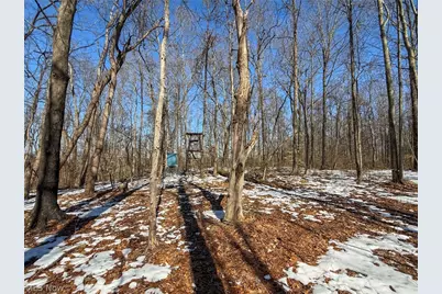 42335 Colburn Rd, , OH 45776 - Photo 29