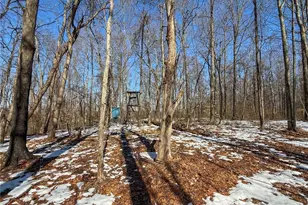 42335 Colburn Rd, , OH 45776 - Photo 29