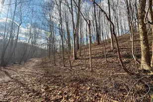 42335 Colburn Rd, , OH 45776 - Photo 41