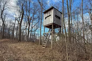 42335 Colburn Rd, , OH 45776 - Photo 27