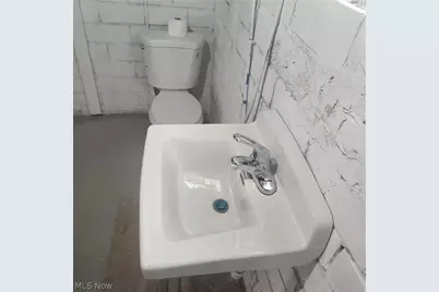 10909 Fortune Avenue, Loveland, OH 44111 - Photo 43