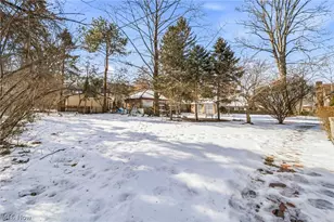 10111 Edgewater Dr, Loveland, OH 44102 - Photo 11