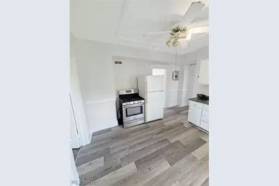 1156 Carl Avenue, Loveland, OH 44103 - Photo 43