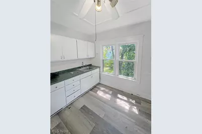 1156 Carl Avenue, Loveland, OH 44103 - Photo 41