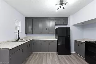 876 Eloise Dr, Loveland, OH 44112 - Photo 11