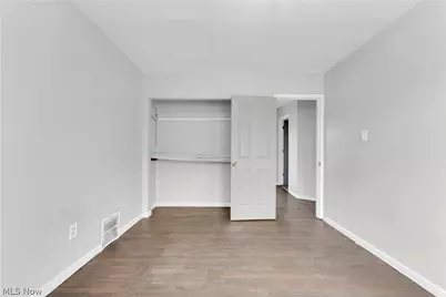 1077 E 169th Street, Loveland, OH 44110 - Photo 13
