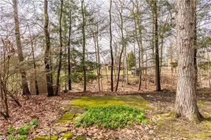 240 Sand Run Rd, Akron, OH 44313 - Photo 43