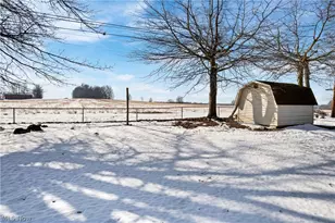 2009 Myrta Dr, Wooster, OH 44691 - Photo 35