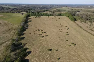 56485 Deep Run Rd, Martins Ferry, OH 43935 - Photo 33