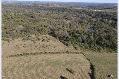 56485 Deep Run Road, Martins Ferry, OH 43935 - Photo 31