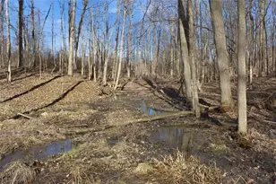 0 Chatham Rd, Spencer, OH 44275 - Photo 37