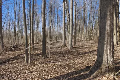 0 Chatham Road, Spencer, OH 44275 - Photo 7