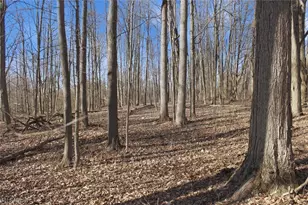 0 Chatham Rd, Spencer, OH 44275 - Photo 7