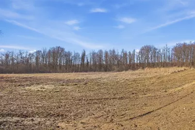 0 Chatham Road, Spencer, OH 44275 - Photo 25