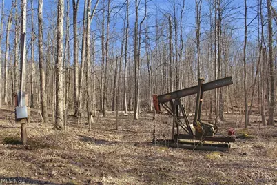 0 Chatham Road, Spencer, OH 44275 - Photo 13