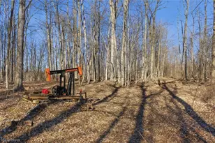 0 Chatham Rd, Spencer, OH 44275 - Photo 9