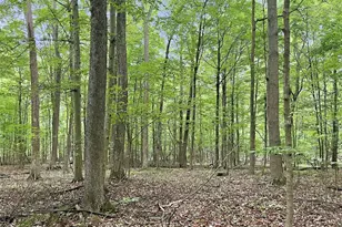 0 Chatham Rd, Spencer, OH 44275 - Photo 29