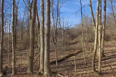 0 Chatham Road, Spencer, OH 44275 - Photo 17