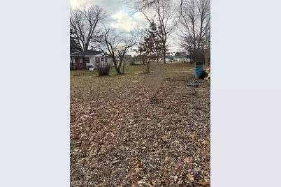 227 Bridge Street, Duncan Falls, OH 43734 - Photo 5