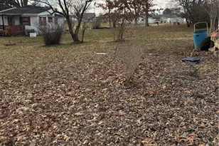 227 Bridge St, Duncan Falls, OH 43734 - Photo 3