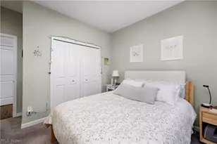 238 Silver Spg Cir, Elyria, OH 44035 - Photo 29