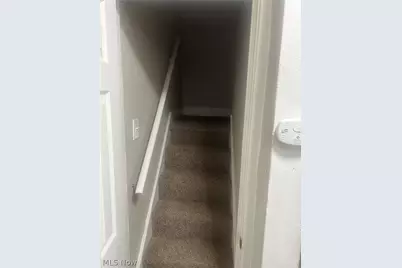 13813 Kelso Avenue, Loveland, OH 44110 - Photo 19