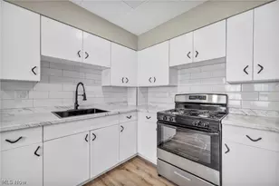 6103 Gertrude Ave, Loveland, OH 44105 - Photo 19