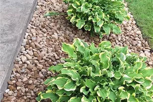 4 N Butler Ave, Niles, OH 44446 - Photo 33