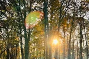 179 Herrmann Dr, Avon Lake, OH 44012 - Photo 21