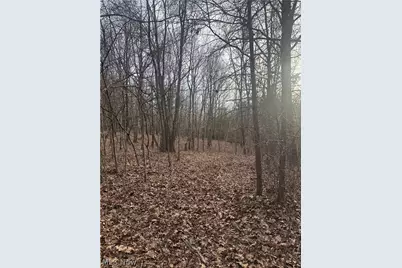 28240 Osborne Road, Coolville, OH 45723 - Photo 31