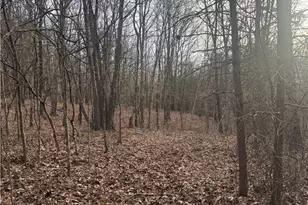 28240 Osborne Rd, Coolville, OH 45723 - Photo 31