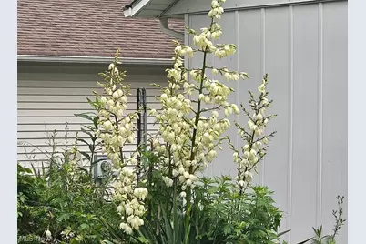 5743 Mills Creek Lane, North Ridgeville, OH 44039 - Photo 47